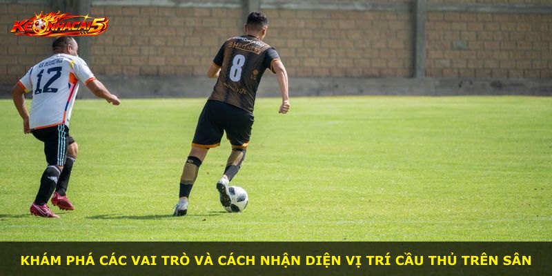 Khám phá các vai trò và cách nhận diện vị trí cầu thủ trên sân