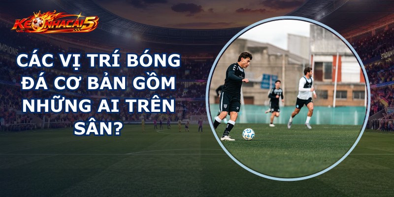 Các Vị Trí Bóng Đá Cơ Bản