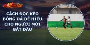 Cách Đọc Kèo Bóng Đá
