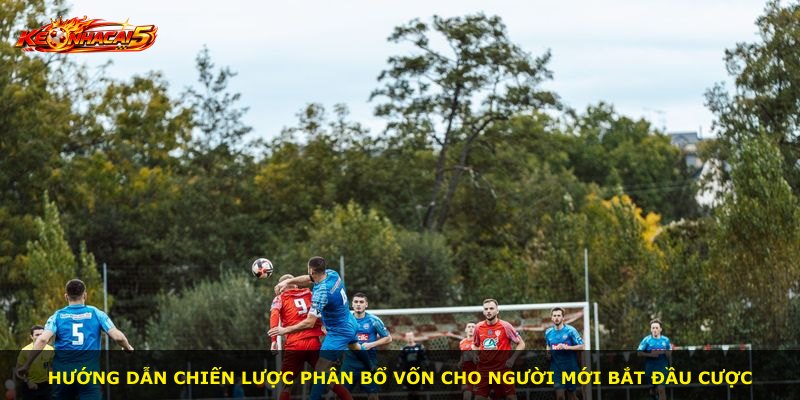 Hướng dẫn chiến lược phân bổ vốn cho người mới bắt đầu cược