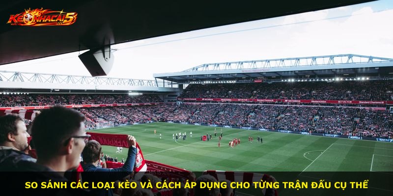 So sánh các loại kèo và cách áp dụng cho từng trận đấu cụ thể