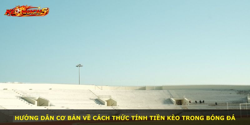 Hướng dẫn cơ bản về cách thức tính tiền kèo trong bóng đá