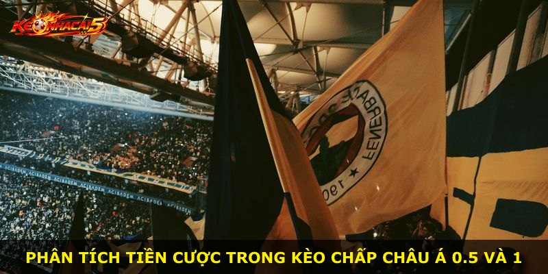 Phân tích tiền cược trong kèo chấp châu Á 0.5 và 1