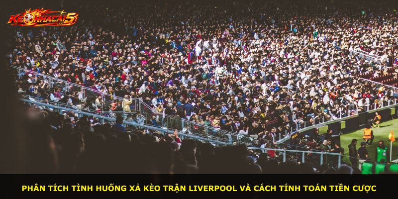 Phân tích tình huống xả kèo trận Liverpool và cách tính toán tiền cược