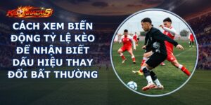 Cách Xem Biến Động Tỷ Lệ Kèo