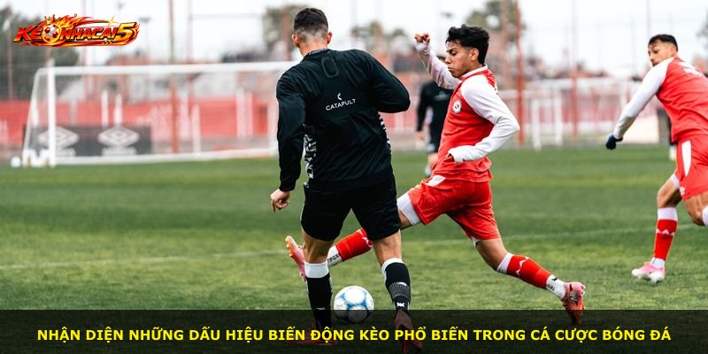 Nhận diện những dấu hiệu biến động kèo phổ biến trong cá cược bóng đá