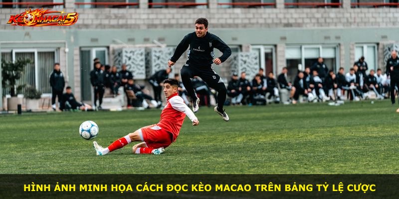 Hình ảnh minh họa cách đọc kèo Macao trên bảng tỷ lệ cược