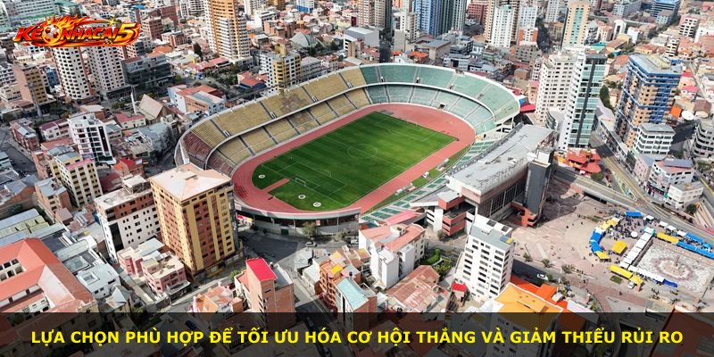 Lựa chọn phù hợp để tối ưu hóa cơ hội thắng và giảm thiểu rủi ro