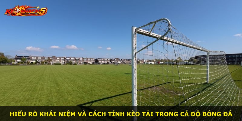 Hiểu rõ khái niệm và cách tính kèo tải trong cá độ bóng đá