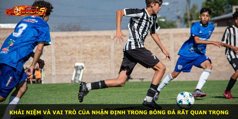 Khái niệm và vai trò của nhận định trong bóng đá rất quan trọng