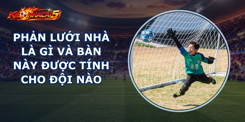 Phản Lưới Nhà Là Gì