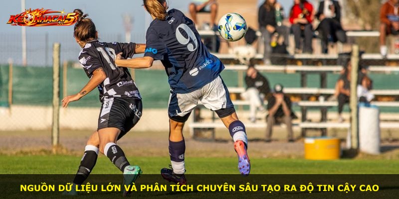 Nguồn dữ liệu lớn và phân tích chuyên sâu tạo ra độ tin cậy cao