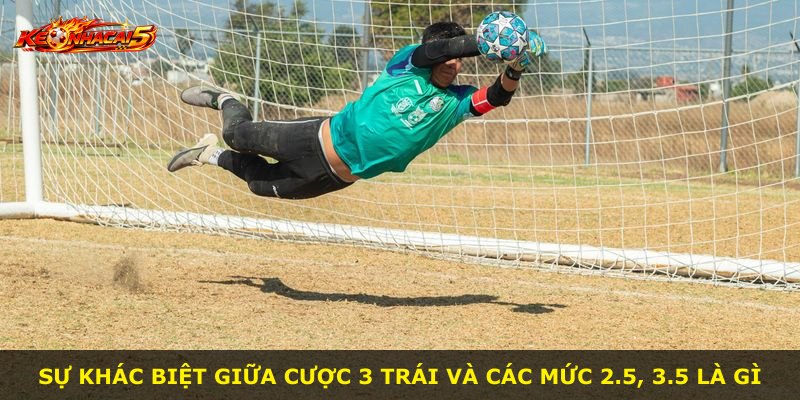 Sự khác biệt giữa cược 3 trái và các mức 2.5, 3.5 là gì
