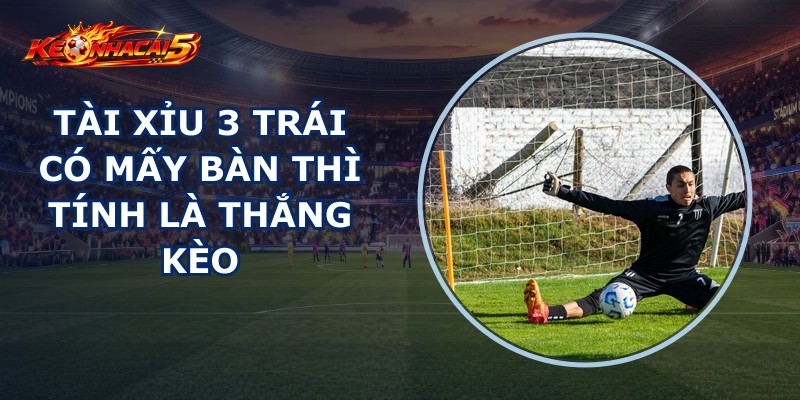 Tài Xỉu 3 Trái