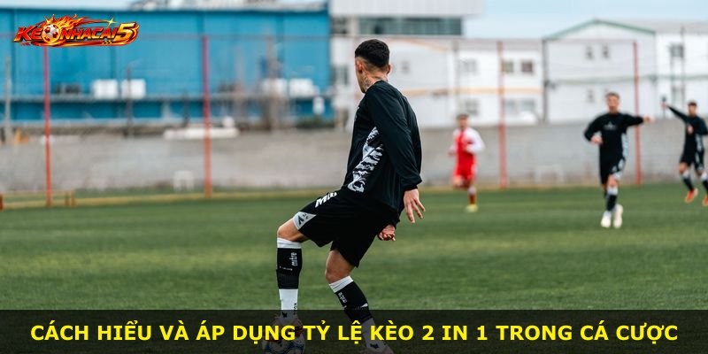 Cách hiểu và áp dụng Tỷ Lệ Kèo 2 In 1 trong cá cược