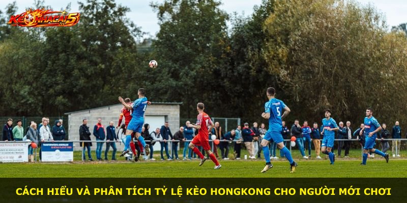 Cách hiểu và phân tích tỷ lệ kèo Hongkong cho người mới chơi