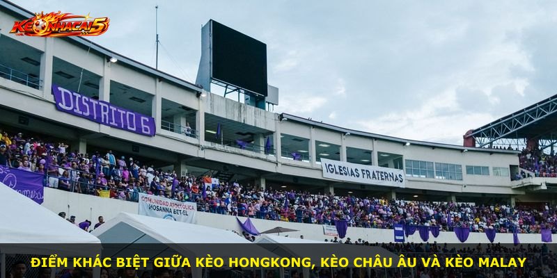 Điểm khác biệt giữa kèo Hongkong, kèo châu Âu và kèo Malay