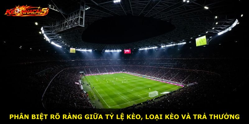 Phân biệt rõ ràng giữa tỷ lệ kèo, loại kèo và trả thưởng