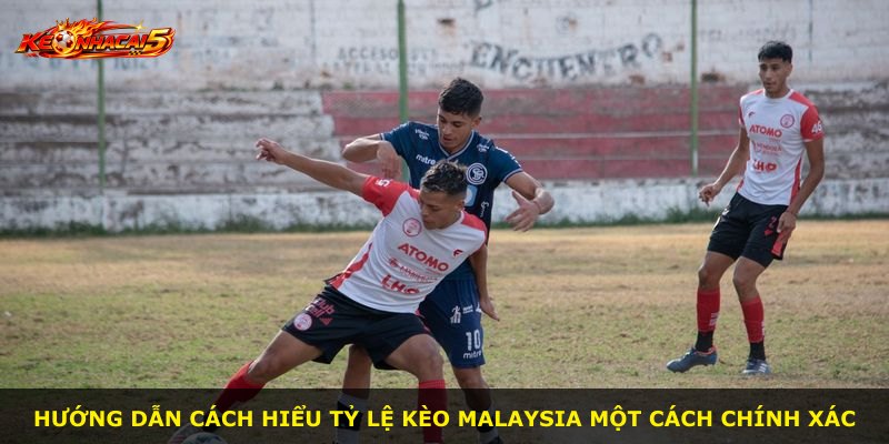 Hướng dẫn cách hiểu tỷ lệ kèo Malaysia một cách chính xác